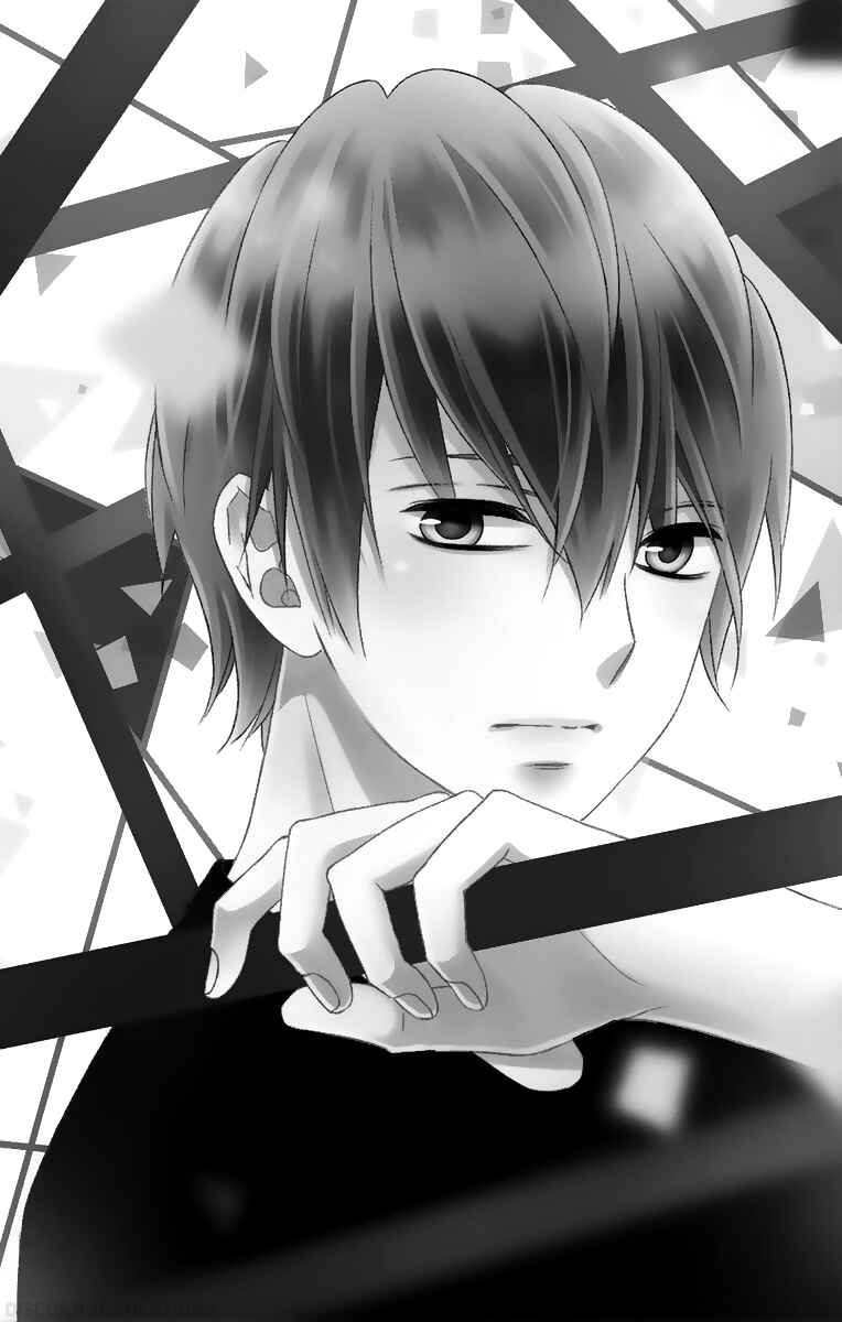 Page 35 Chapter 37 Tsubasa to Hotaru
