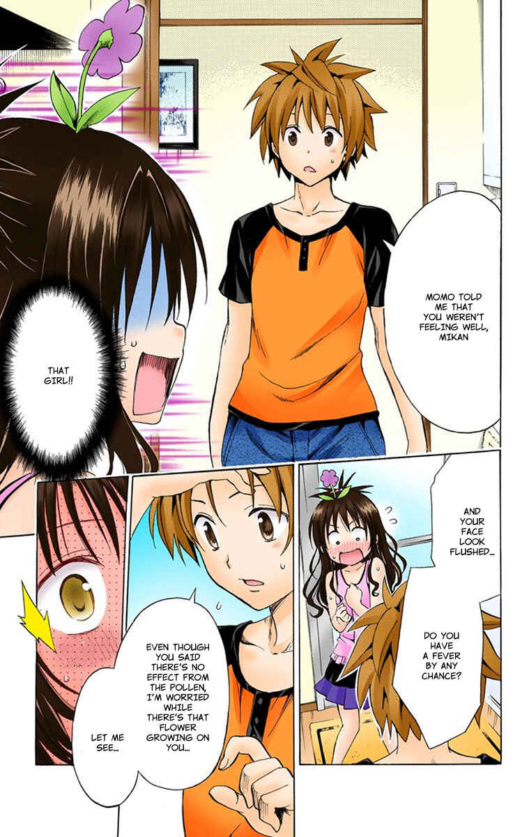 Page 14 Chapter 8.5 To Love Ru Darkness (Official Colored)