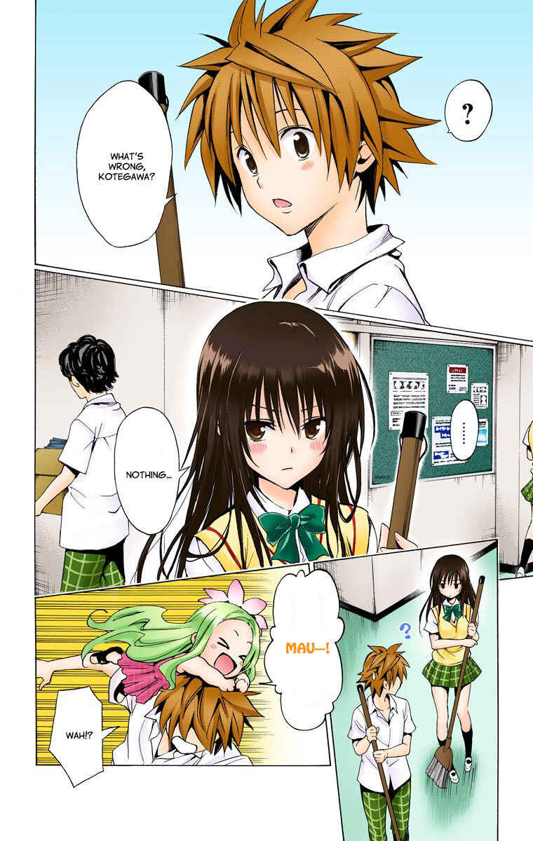 Page 19 Chapter 12.5 To Love Ru Darkness (Official Colored)
