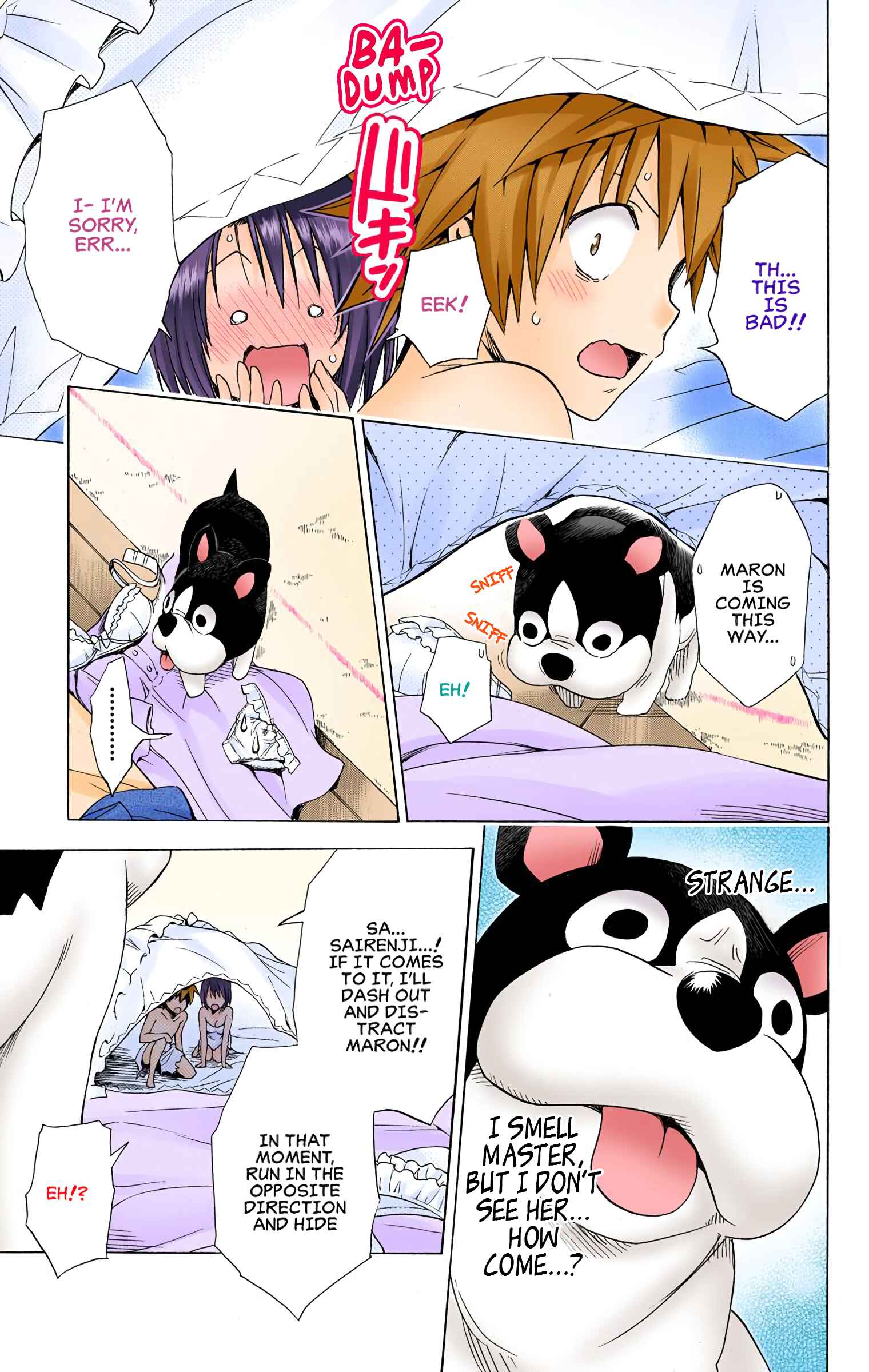 Page 43 Chapter 54 To Love Ru Darkness (Official Colored)