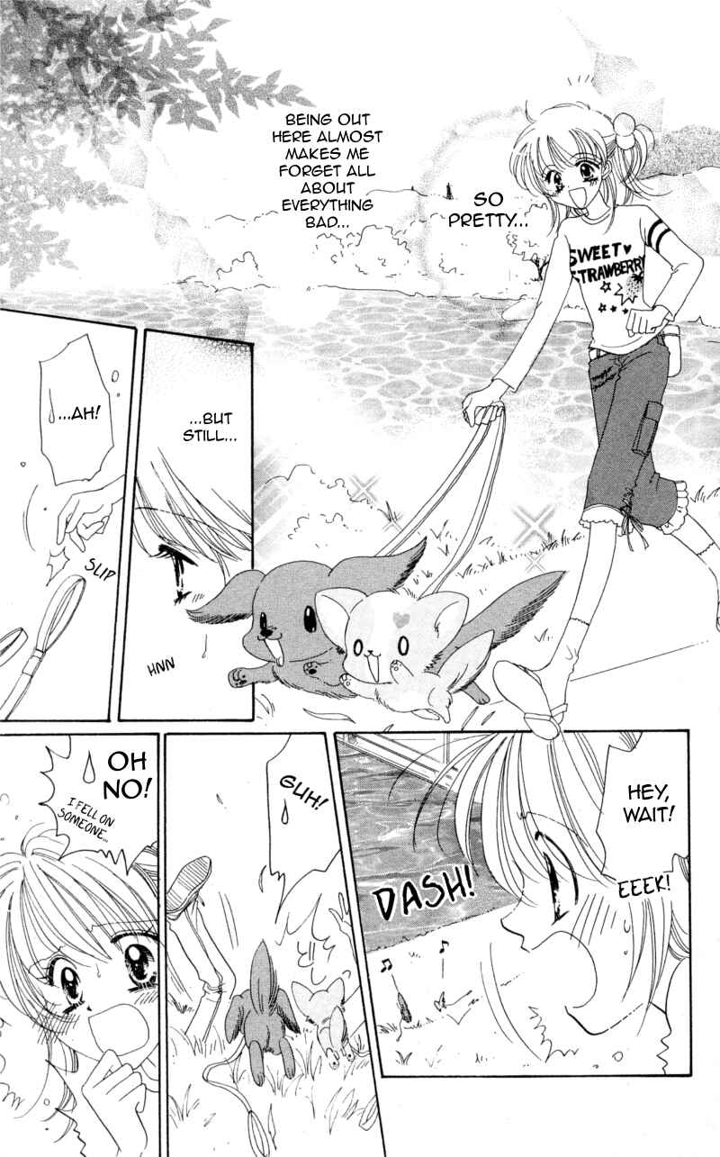Page 13 Chapter 8 Cinderella Collection