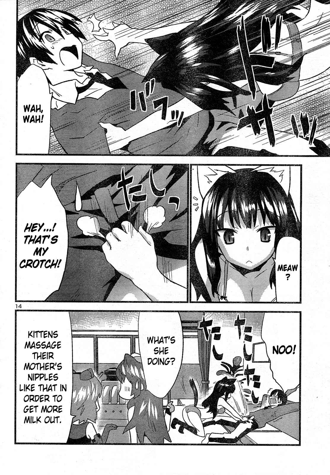 Page 14 Chapter 27 Yomeiro Choice
