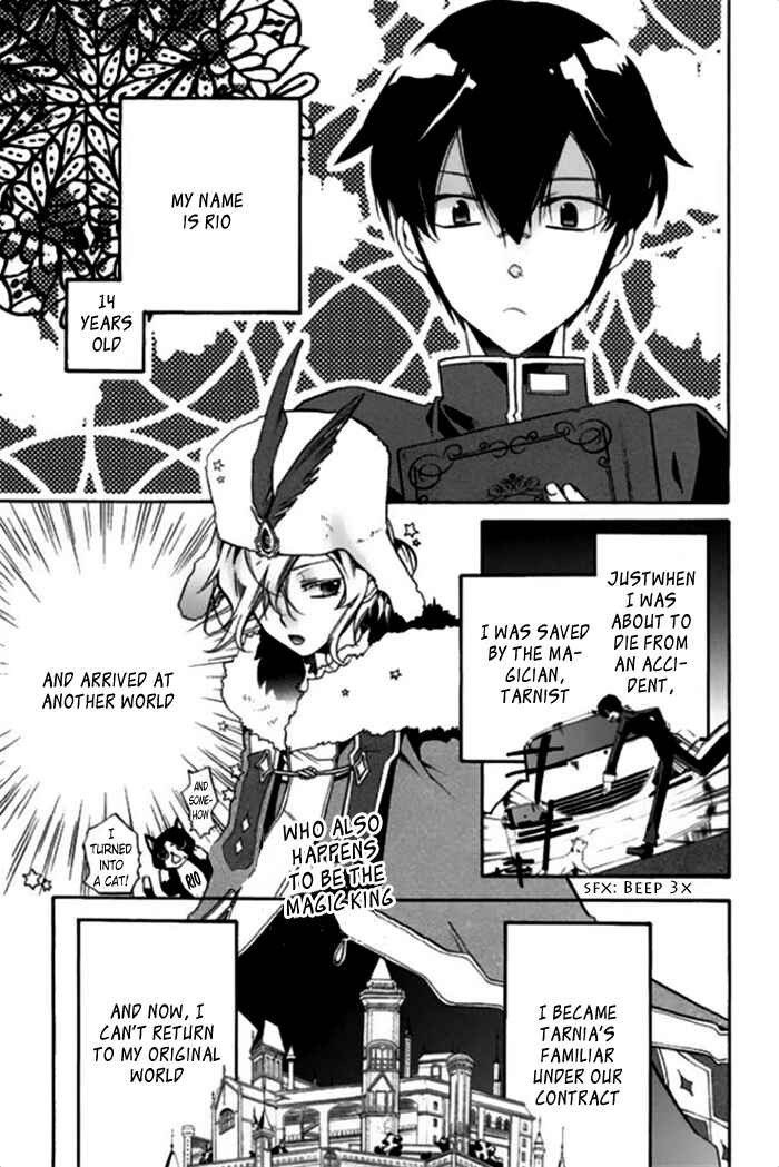 Page 9 Chapter 14 Mahoutsukai no Neko