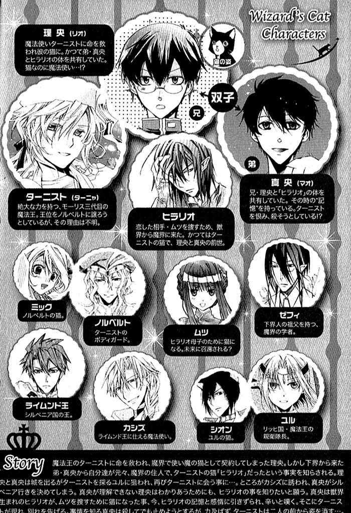 Page 7 Chapter 27 Mahoutsukai no Neko