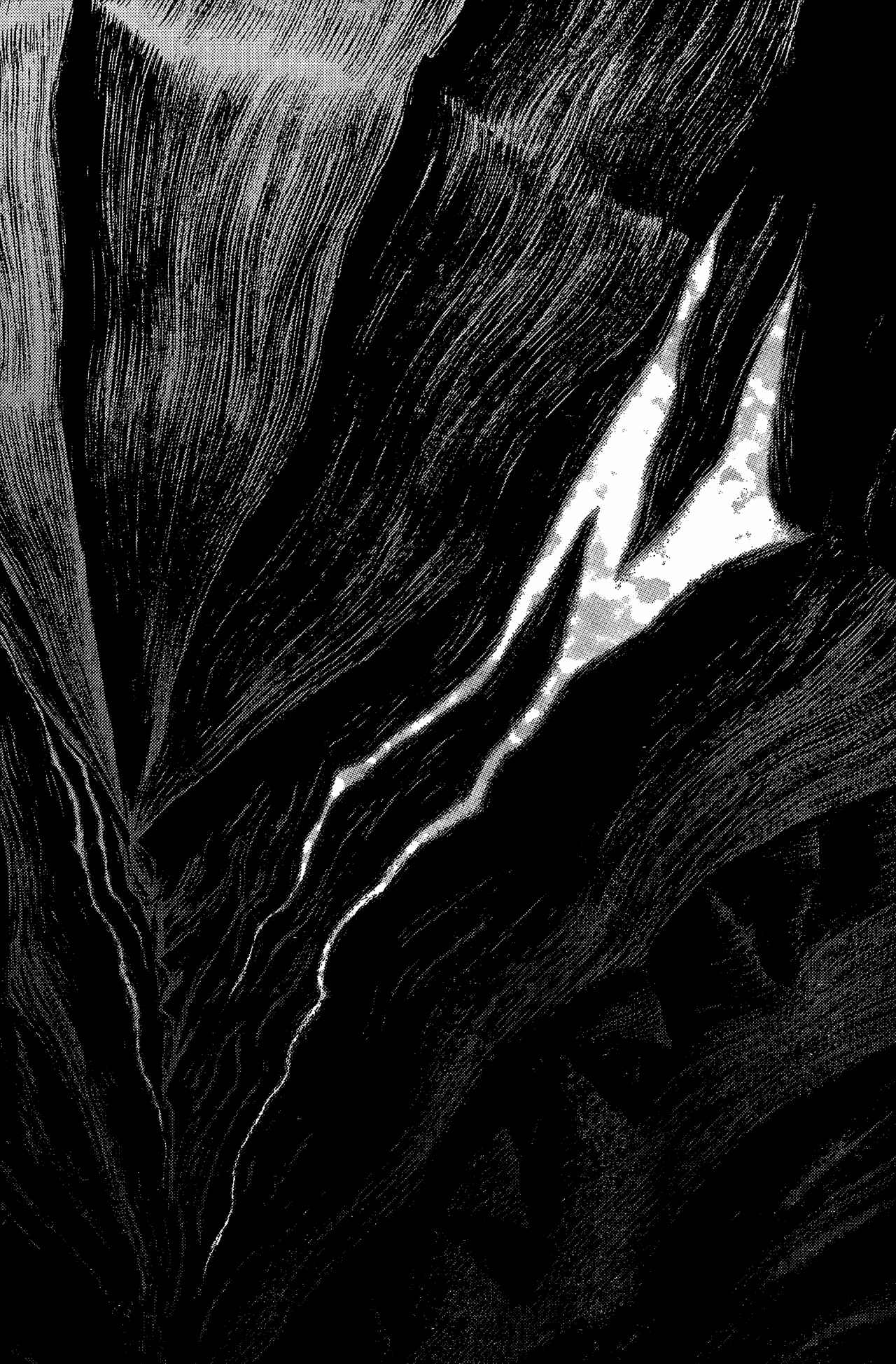 Page 9 Chapter 315 Berserk