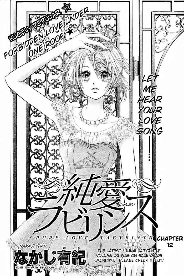 Page 1 Chapter 12 Junai Labyrinth