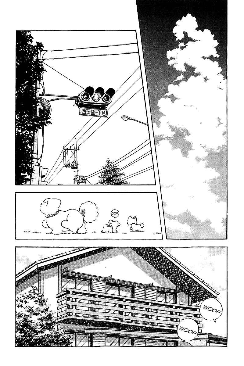 Page 5 Chapter 252 Touch