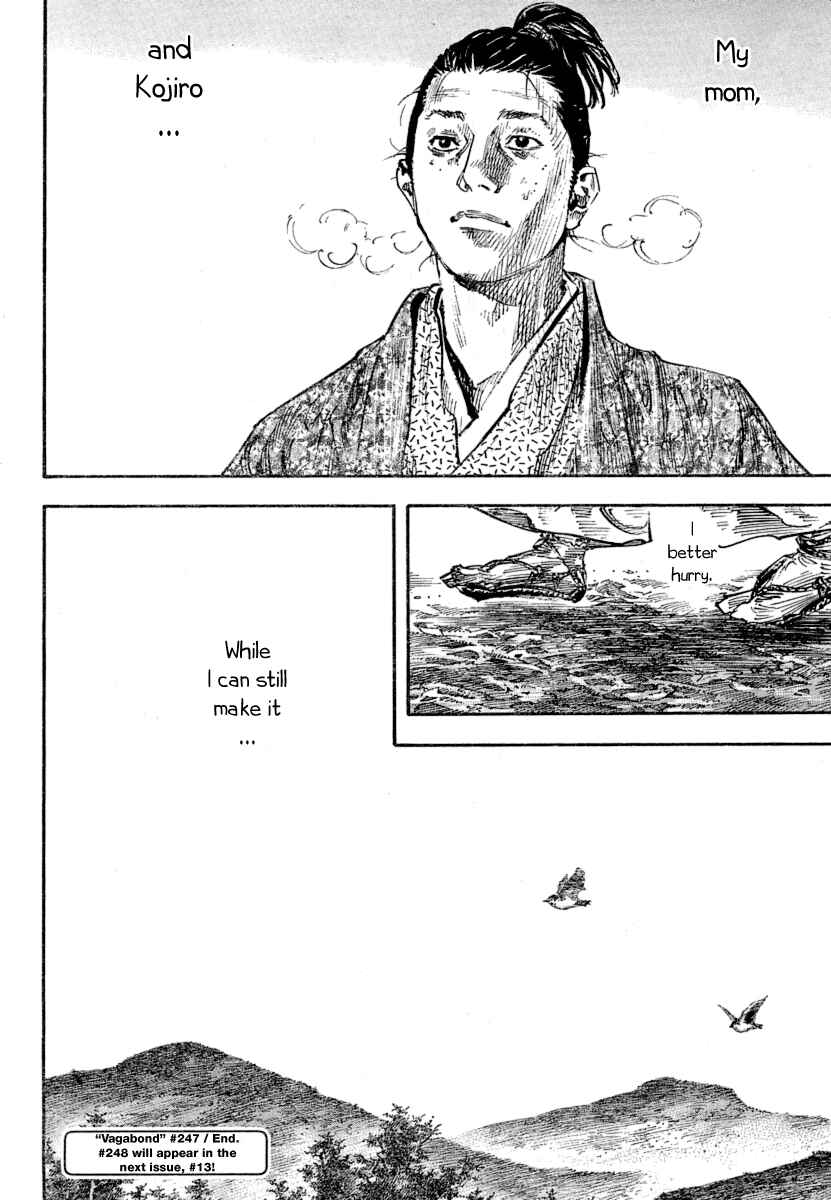Page 17 Chapter 248 Vagabond