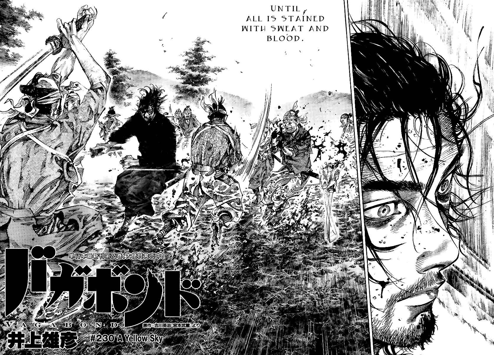 Page 2 Chapter 230 Vagabond