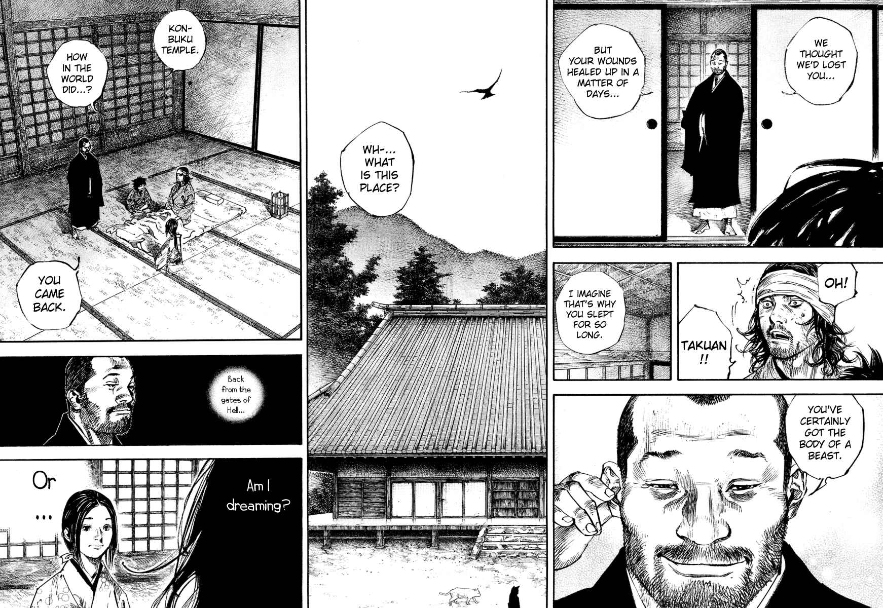 Page 9 Chapter 244 Vagabond