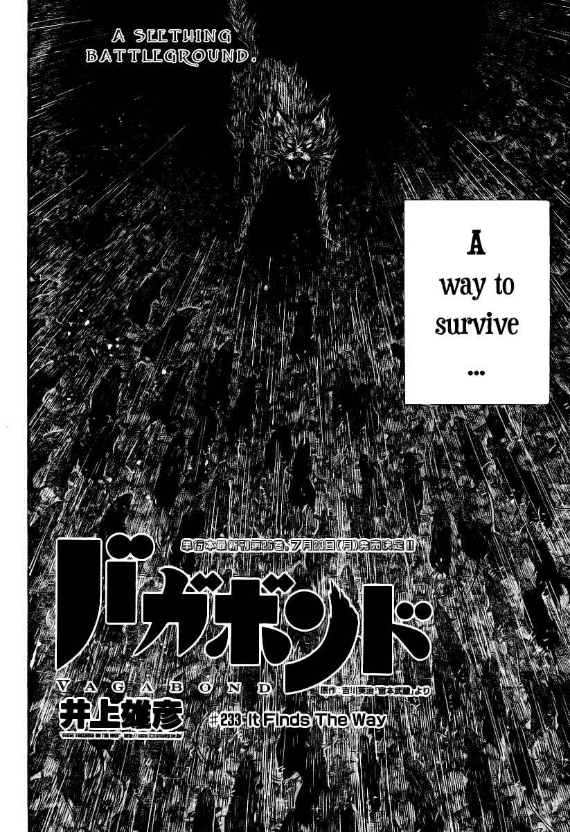 Page 3 Chapter 233 Vagabond