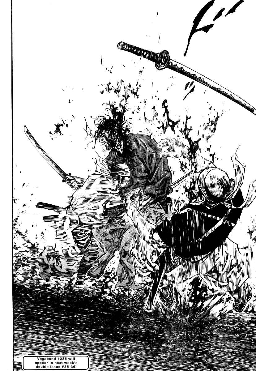 Page 17 Chapter 234 Vagabond