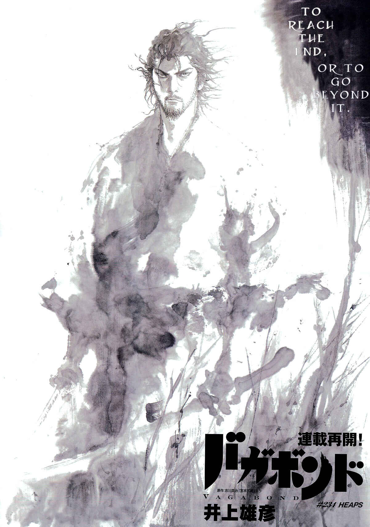 Page 3 Chapter 234 Vagabond