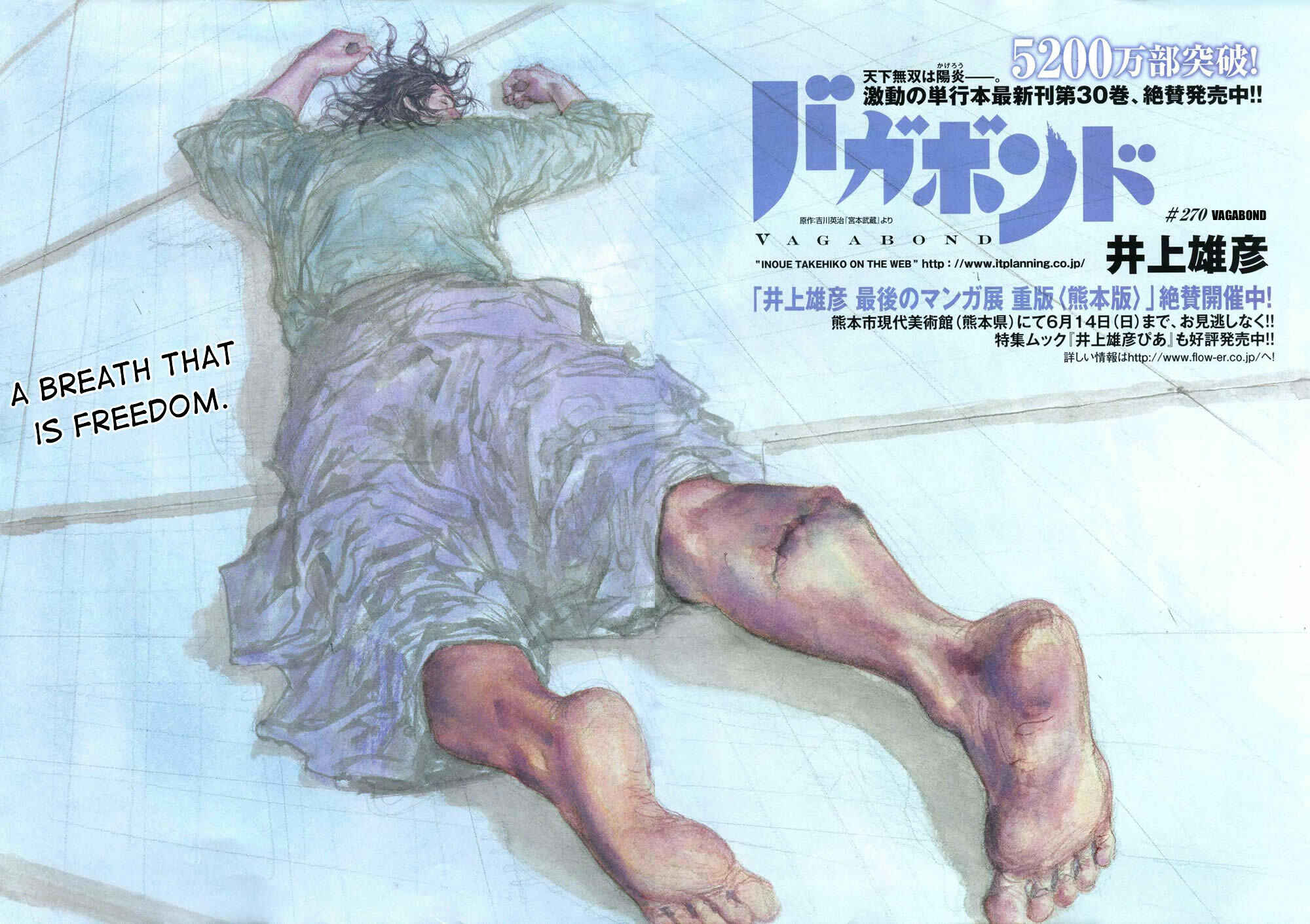 Page 3 Chapter 270 Vagabond