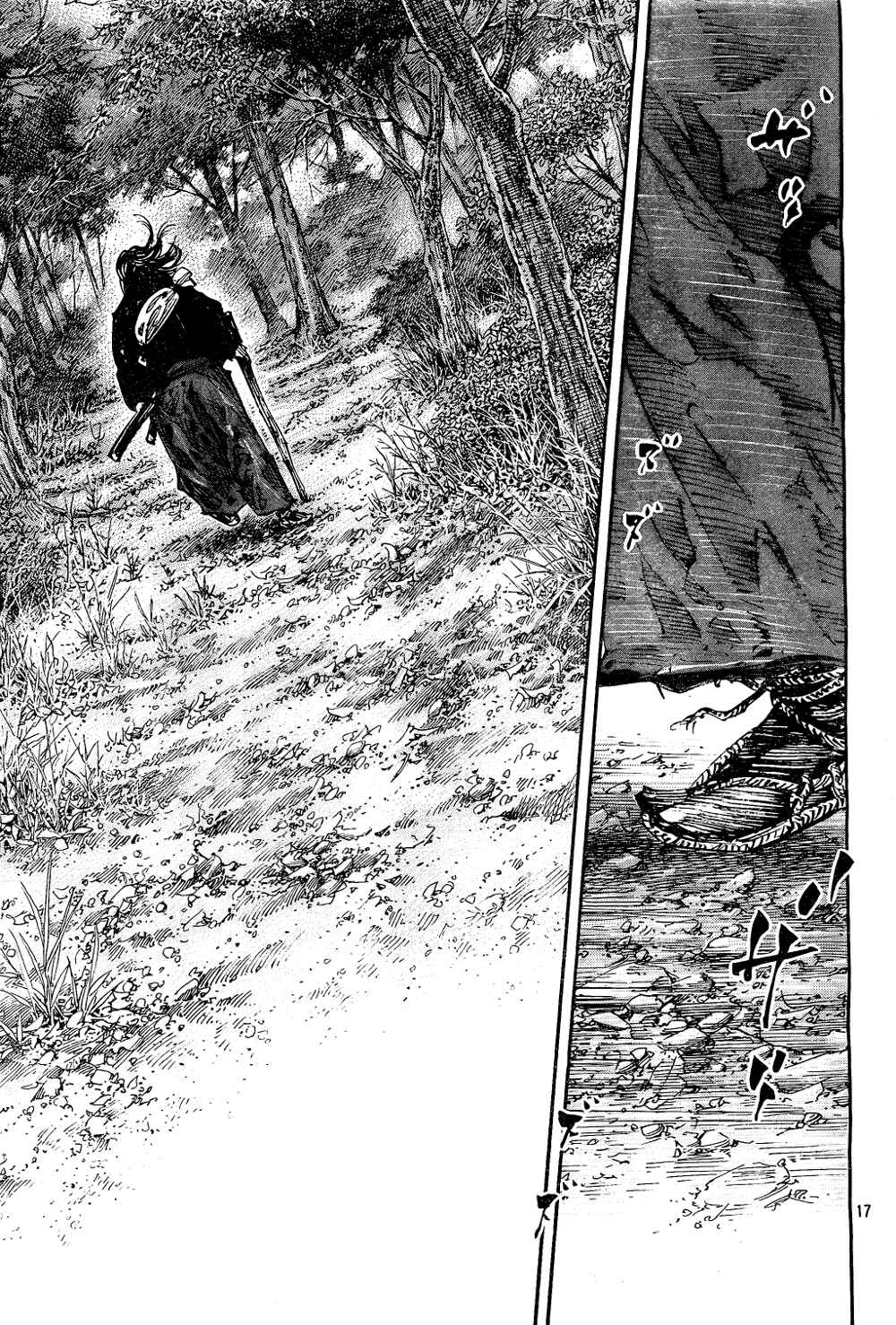 Page 17 Chapter 294 Vagabond