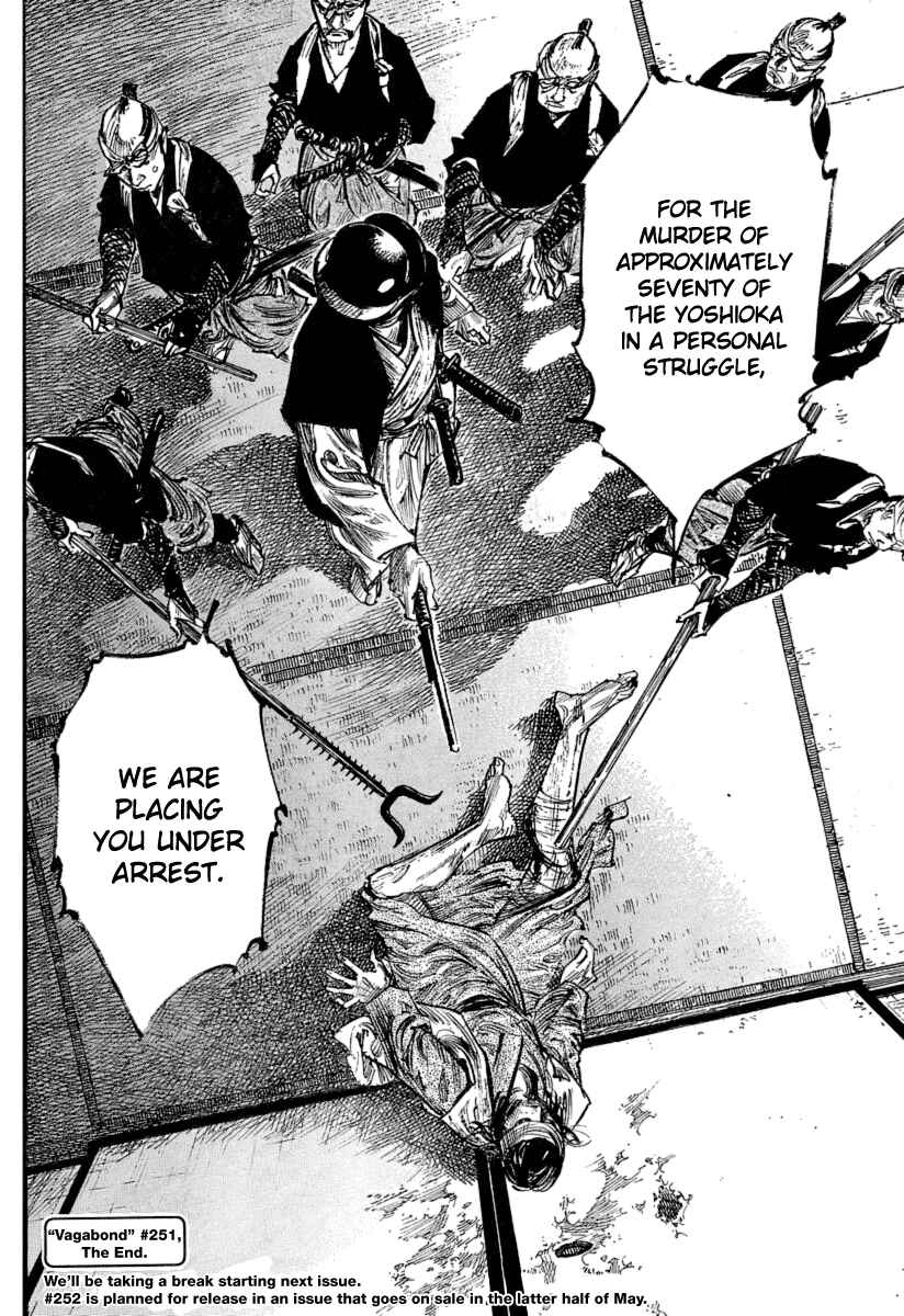 Page 15 Chapter 251 Vagabond