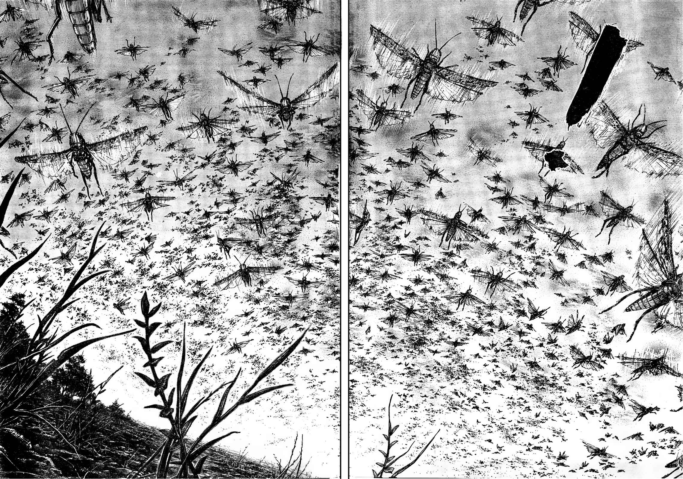 Page 4 Chapter 309 Vagabond