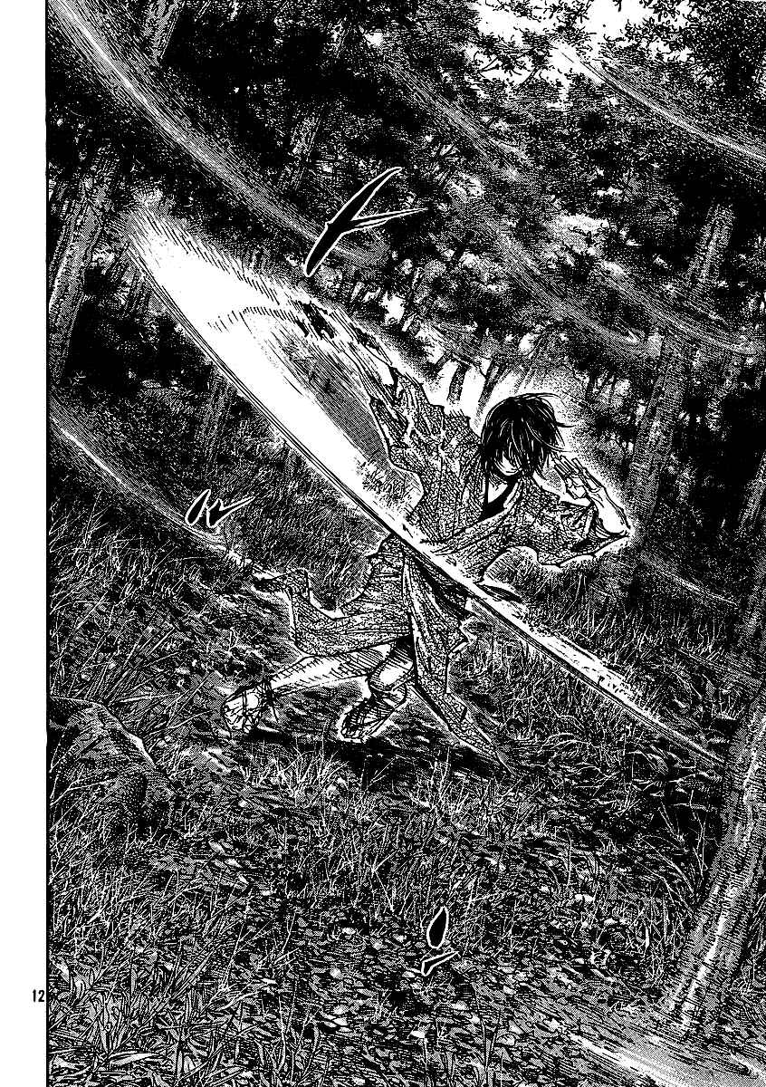 Page 12 Chapter 282 Vagabond