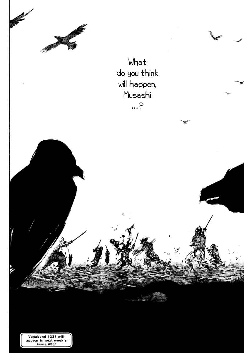 Page 19 Chapter 236 Vagabond