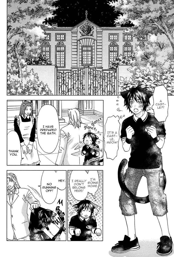 Page 17 Chapter 4 Mori no Animal Company