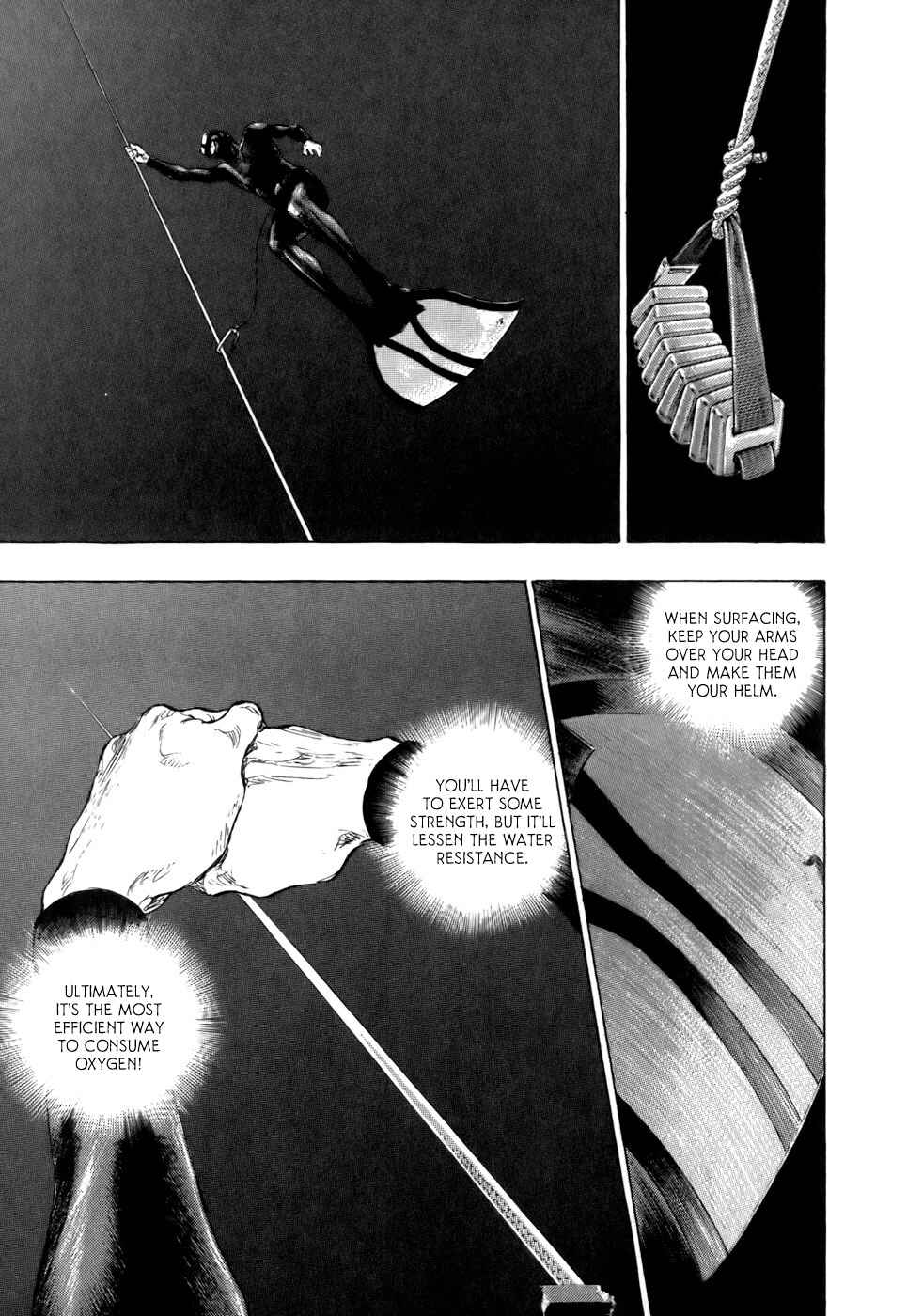 Page 17 Chapter 29 Glaucos