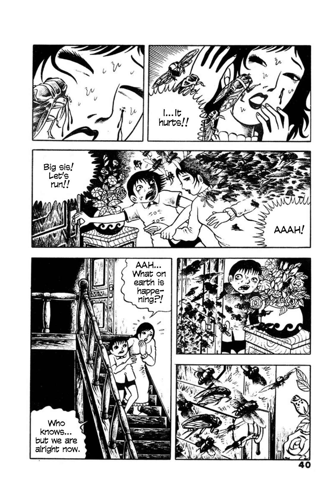Page 10 Chapter 2 Spotted Egg