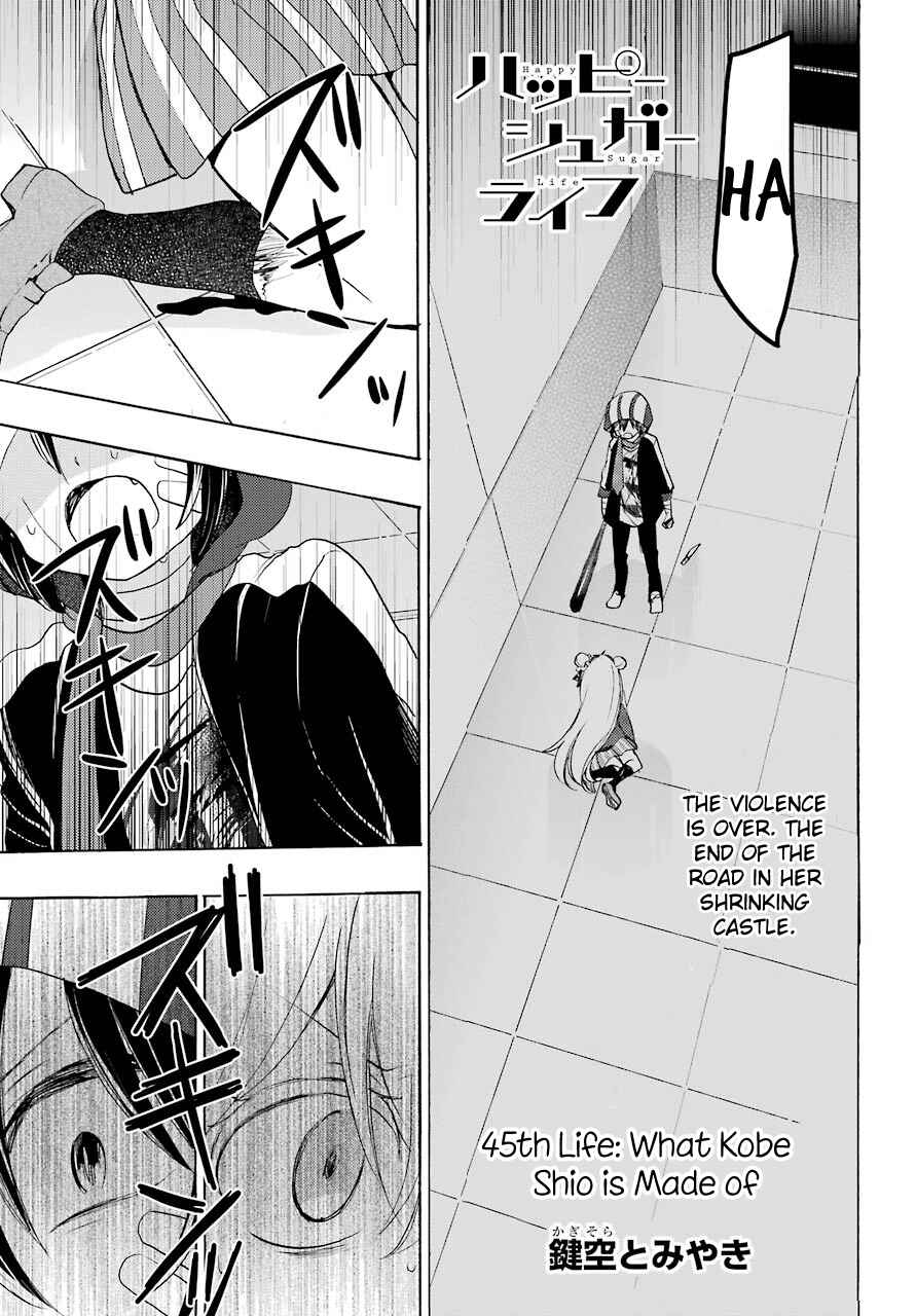 Page 2 Chapter 45 Happy Sugar Life