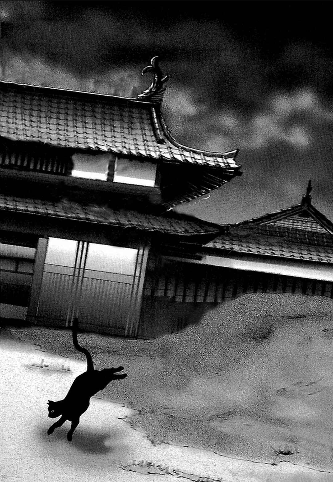 Page 8 Chapter 26 Dororo Bon
