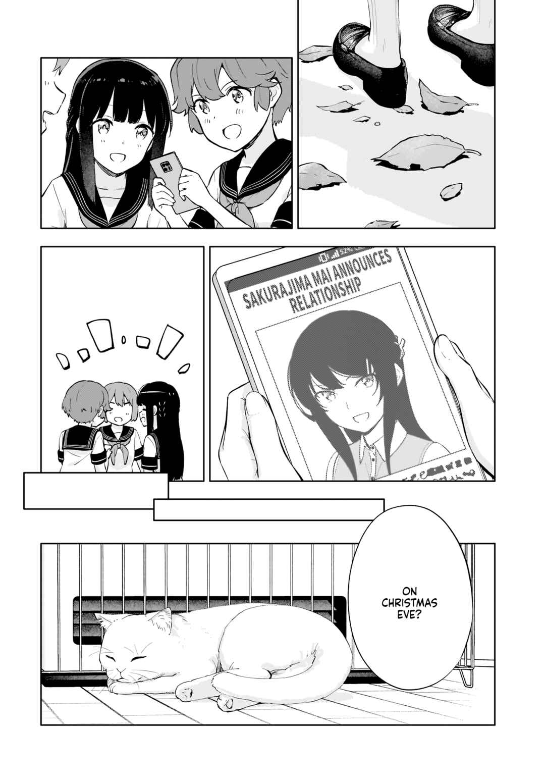 Page 13 Chapter 15 Rascal Does Not Dream of a Dreaming Girl