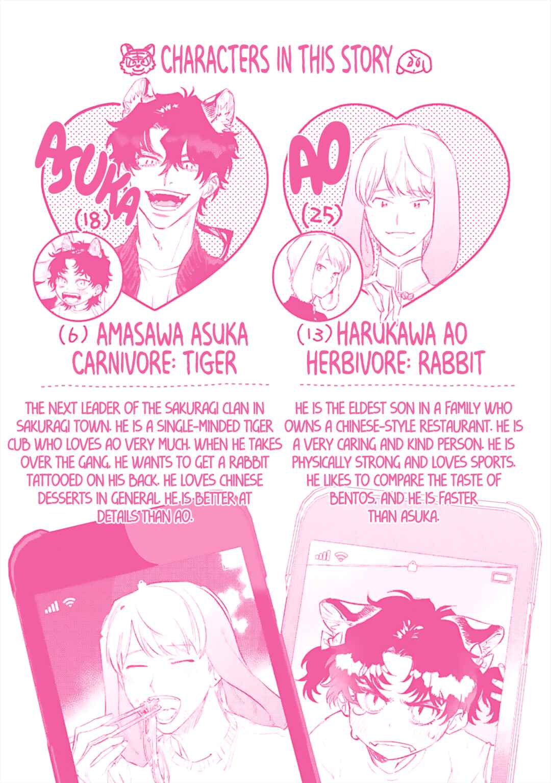 Page 17 Chapter 5.5 Gokutora no Honey Bunny