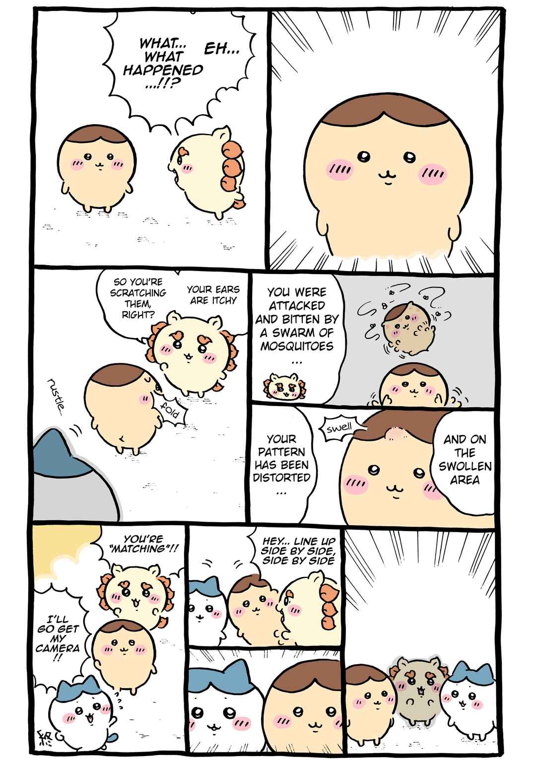 Page 1 Chapter 936 Chiikawa: Nanka Chiisakute Kawaii Yatsu (Webcomic Pages)