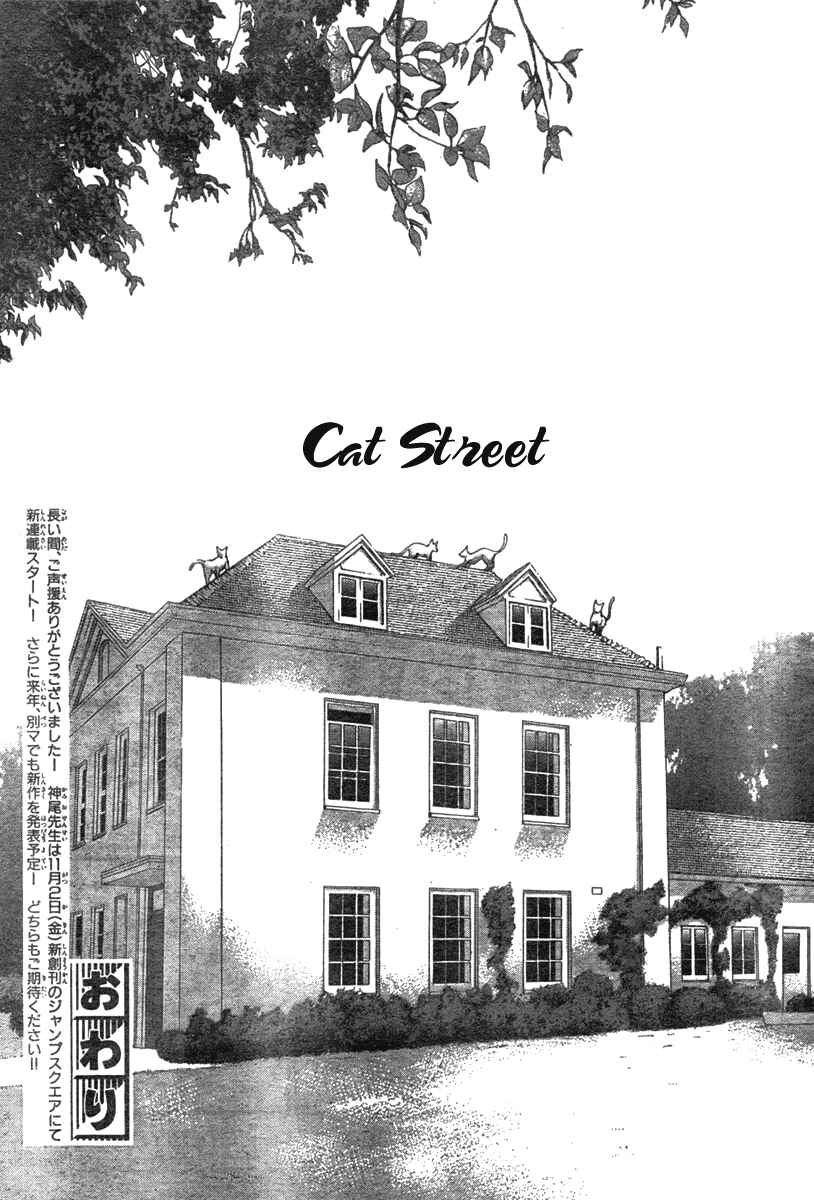 Page 43 Chapter 35 Cat Street