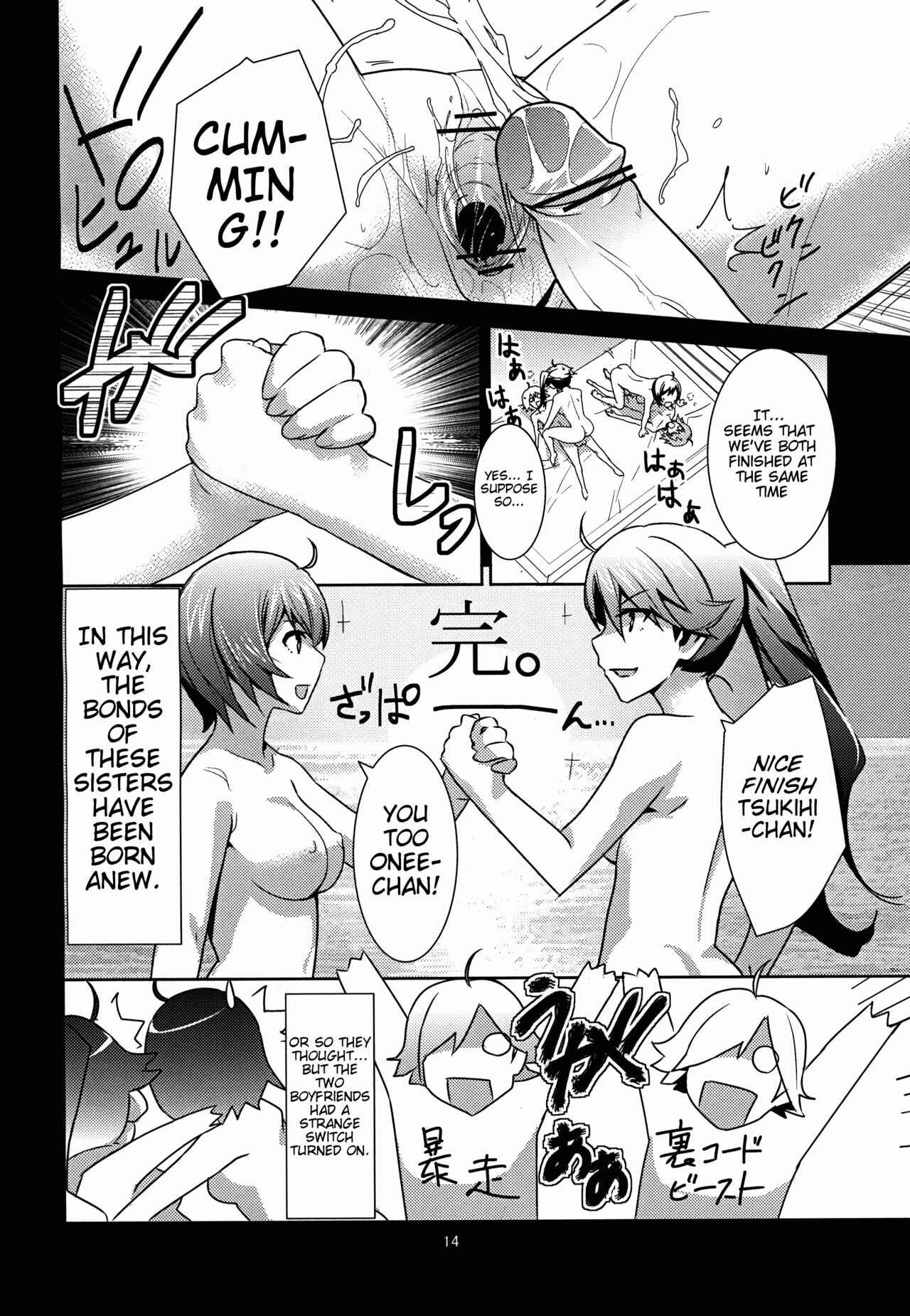 Page 15 Chapter Unknown_139a Bakemonogatari - A Fake Story (Doujinshi)