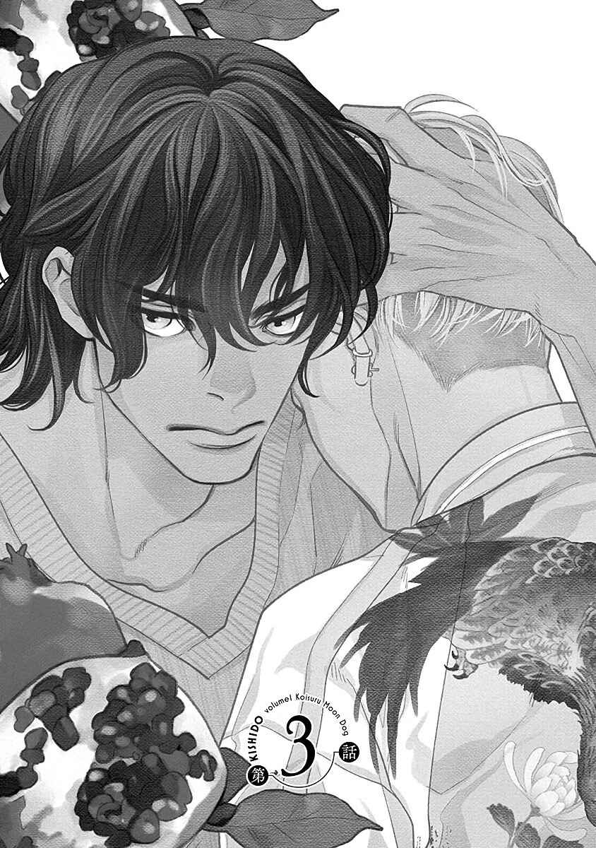Page 3 Chapter 3 Ikemen Kishi wo Hirottanda ga Doushitara Ii?