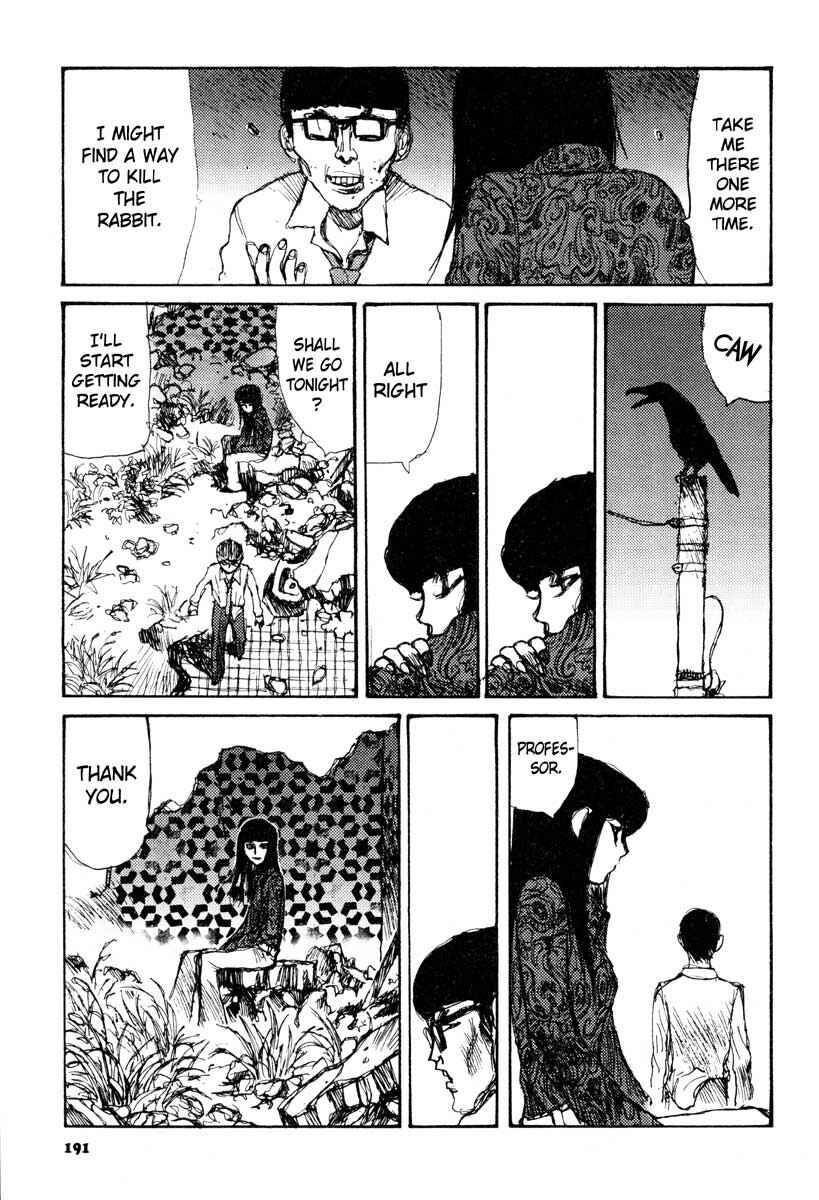 Page 19 Chapter 6 Tropical Citron