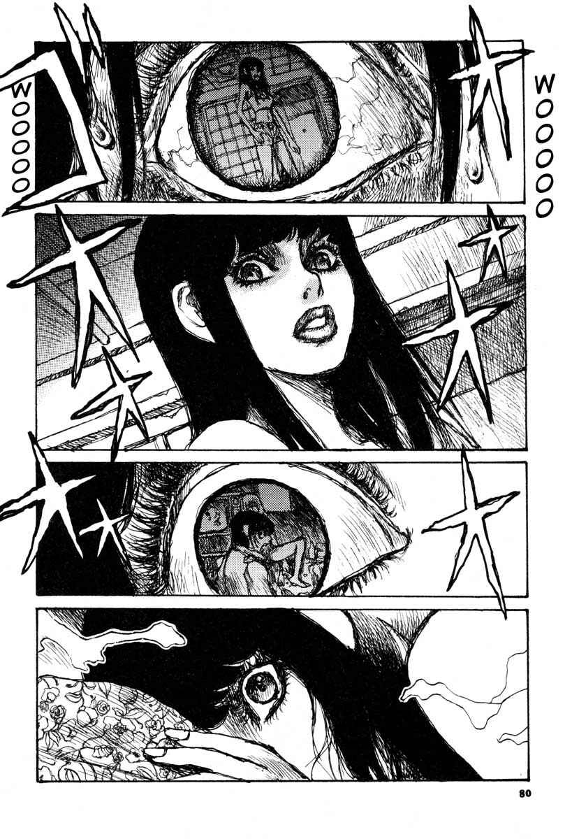 Page 12 Chapter 3 Tropical Citron