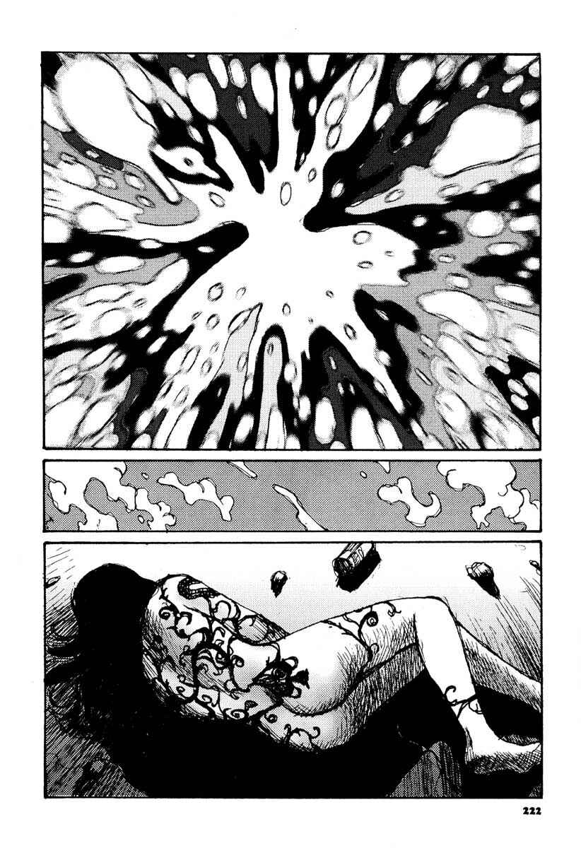Page 27 Chapter 14 Tropical Citron