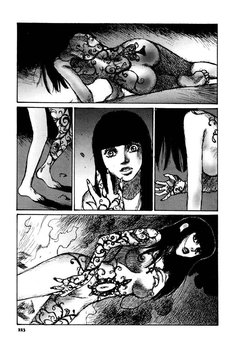 Page 28 Chapter 14 Tropical Citron