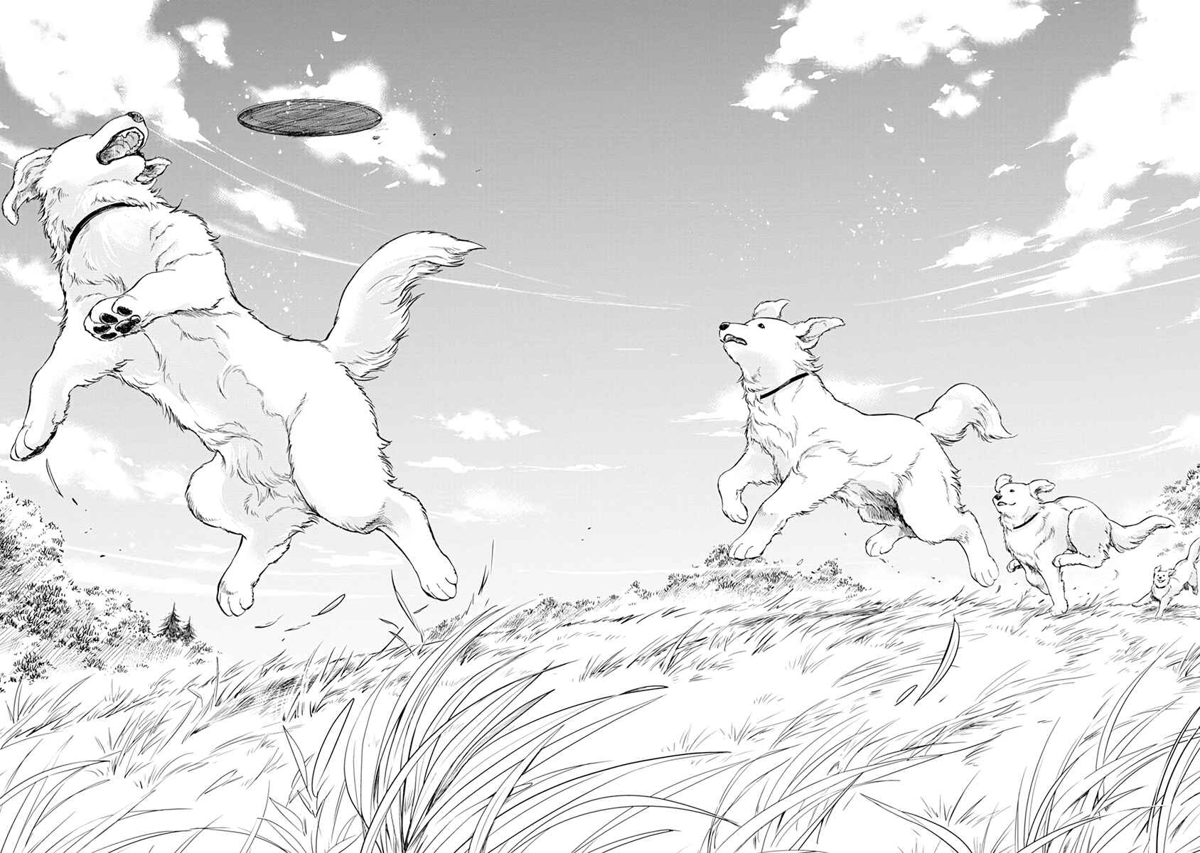 Page 16 Chapter 11 One Room Wanko