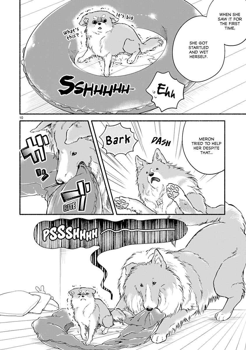 Page 12 Chapter 14 One Room Wanko