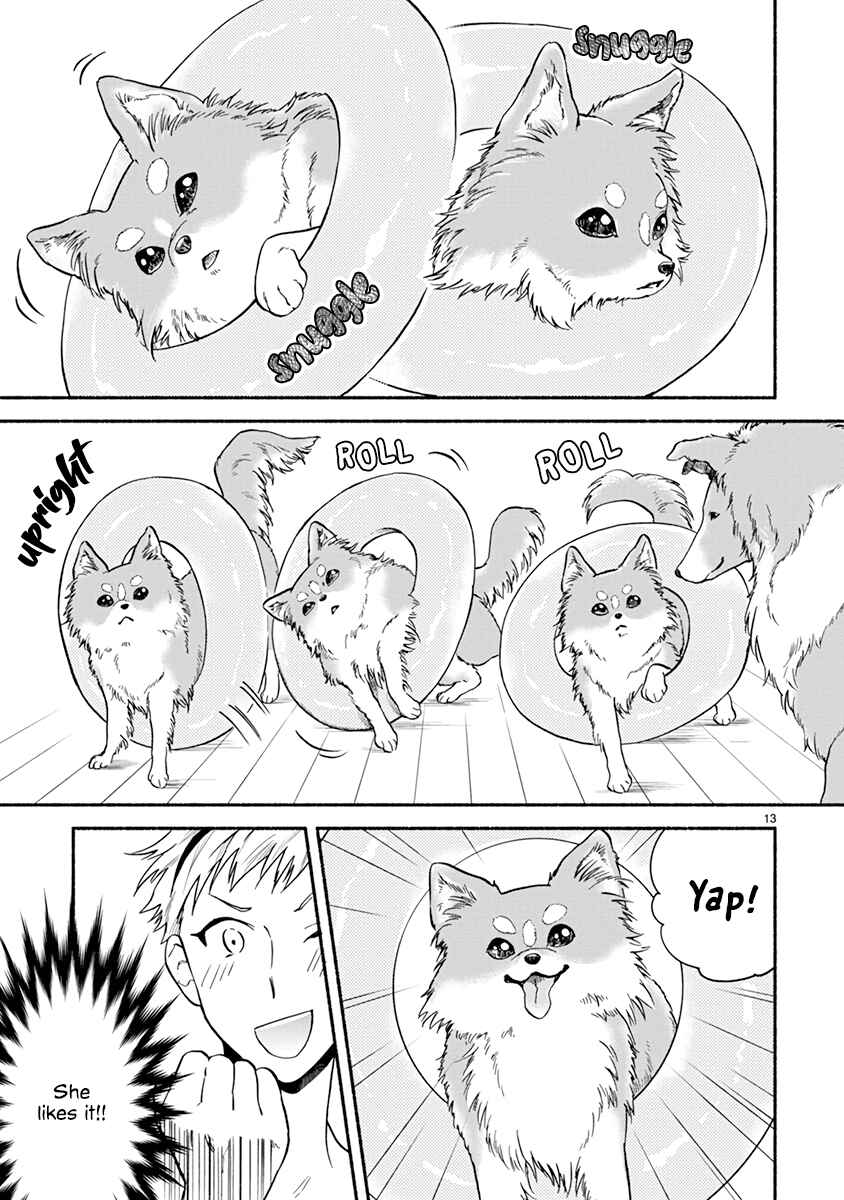 Page 15 Chapter 14 One Room Wanko