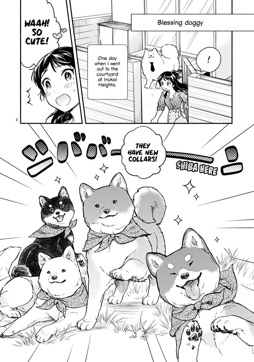 Page 2 Chapter 17 One Room Wanko