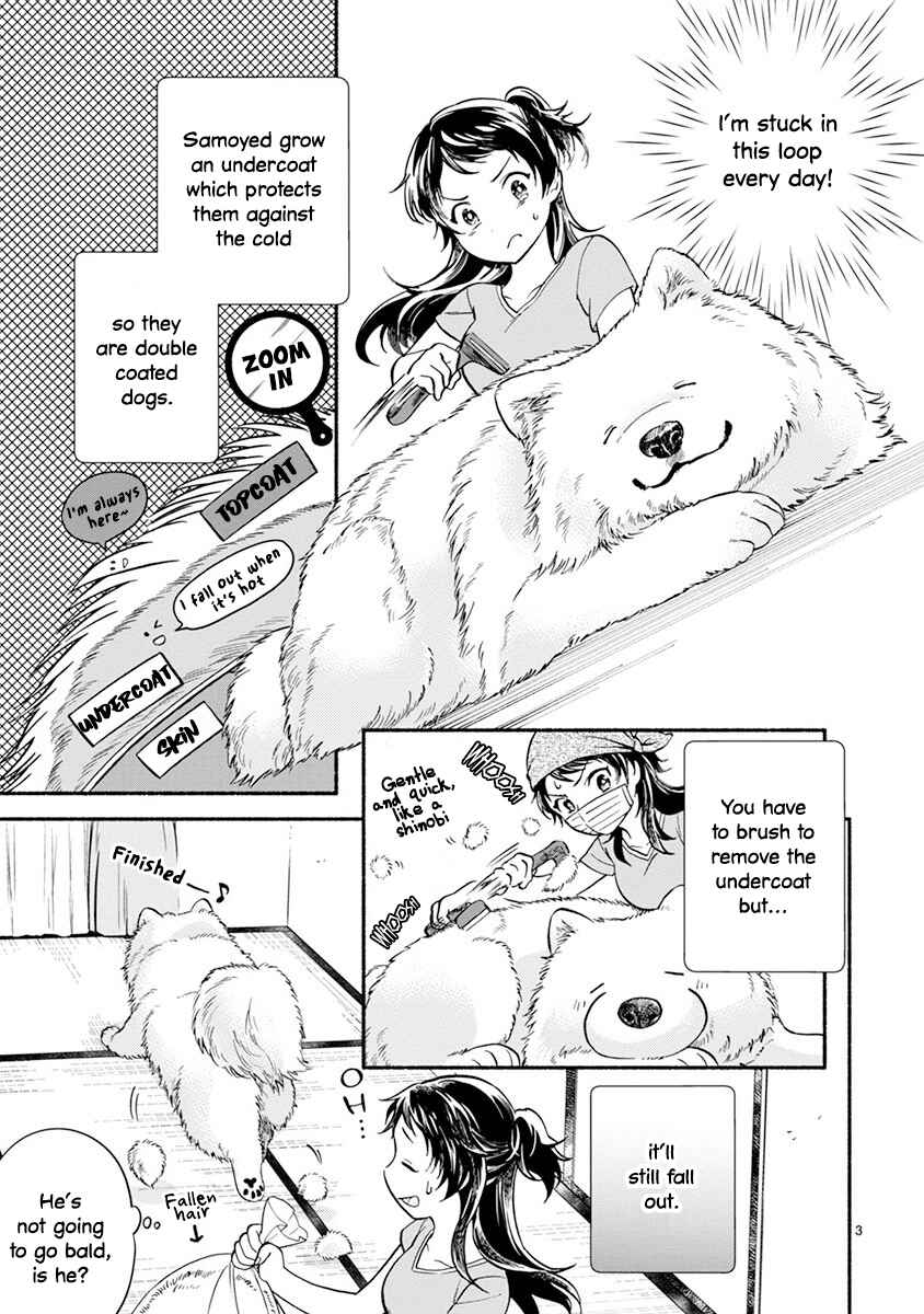 Page 5 Chapter 6 One Room Wanko