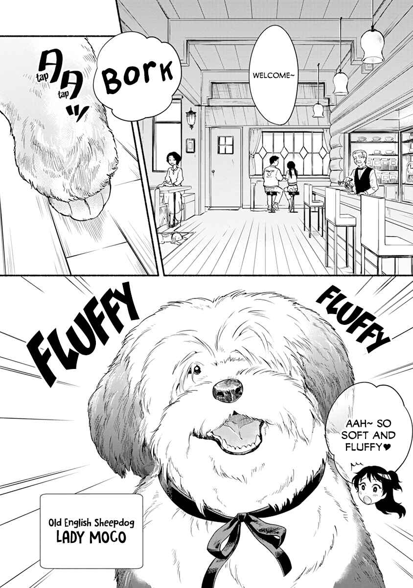 Page 4 Chapter 12 One Room Wanko