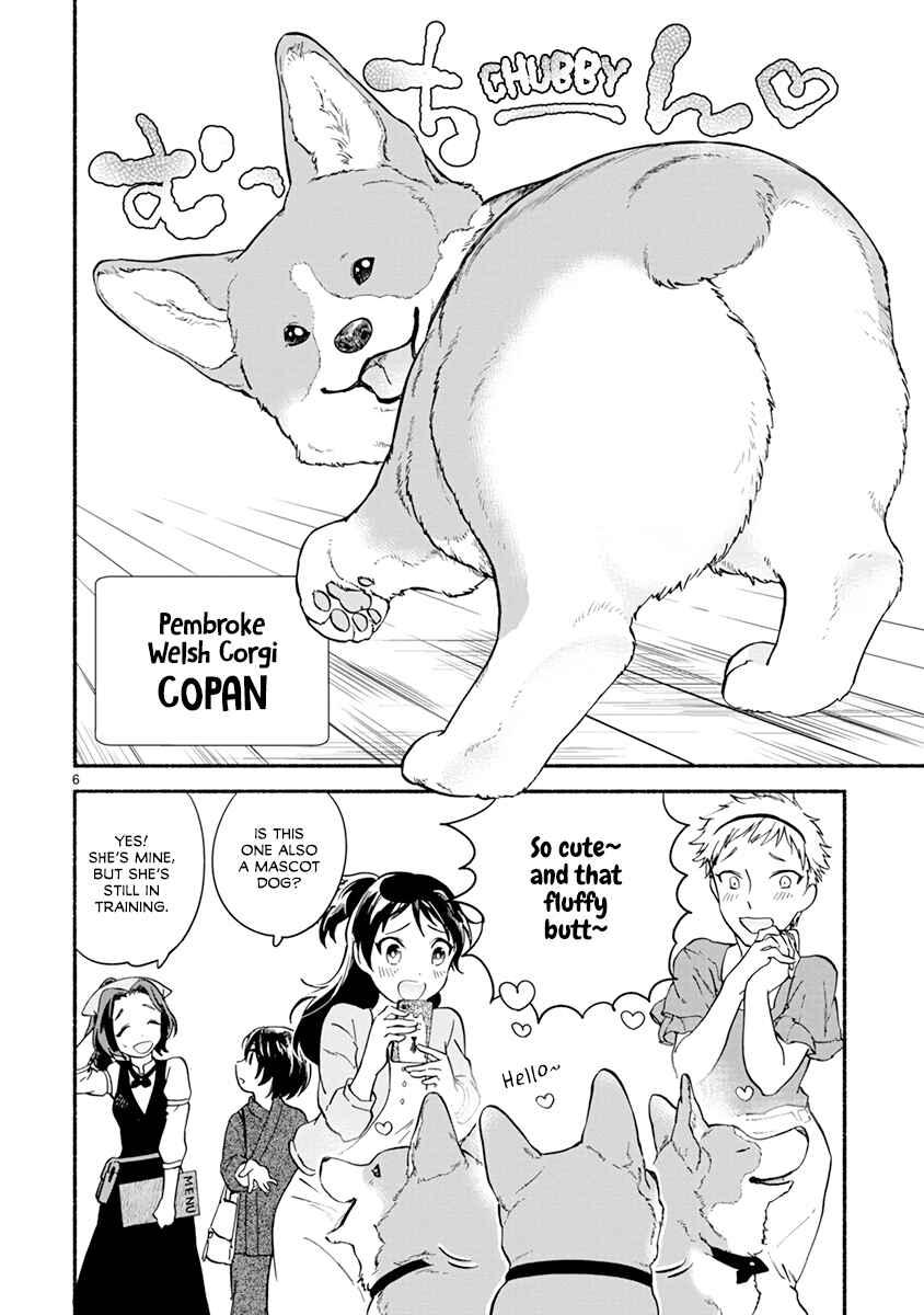 Page 8 Chapter 12 One Room Wanko