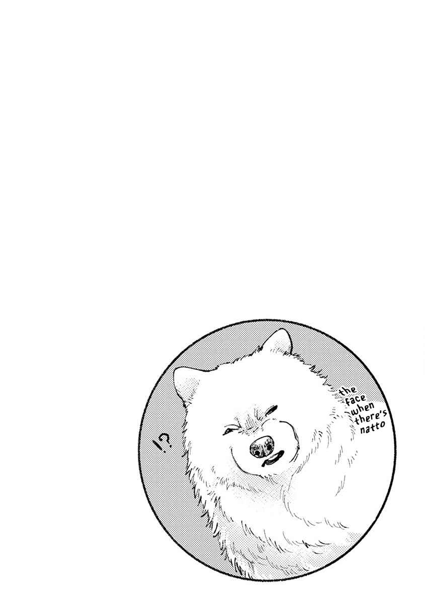 Page 17 Chapter 5 One Room Wanko