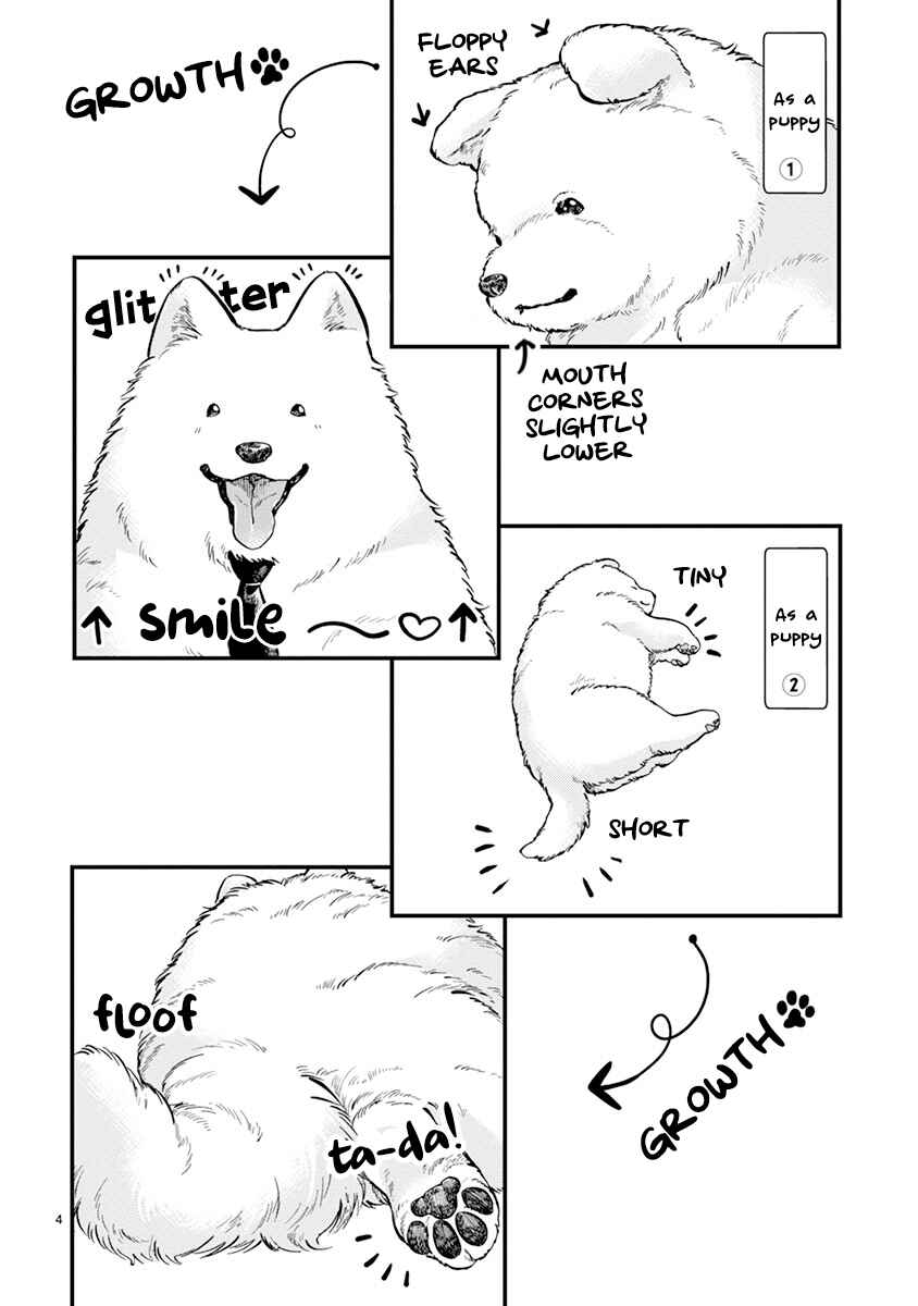 Page 3 Chapter 18.5 One Room Wanko