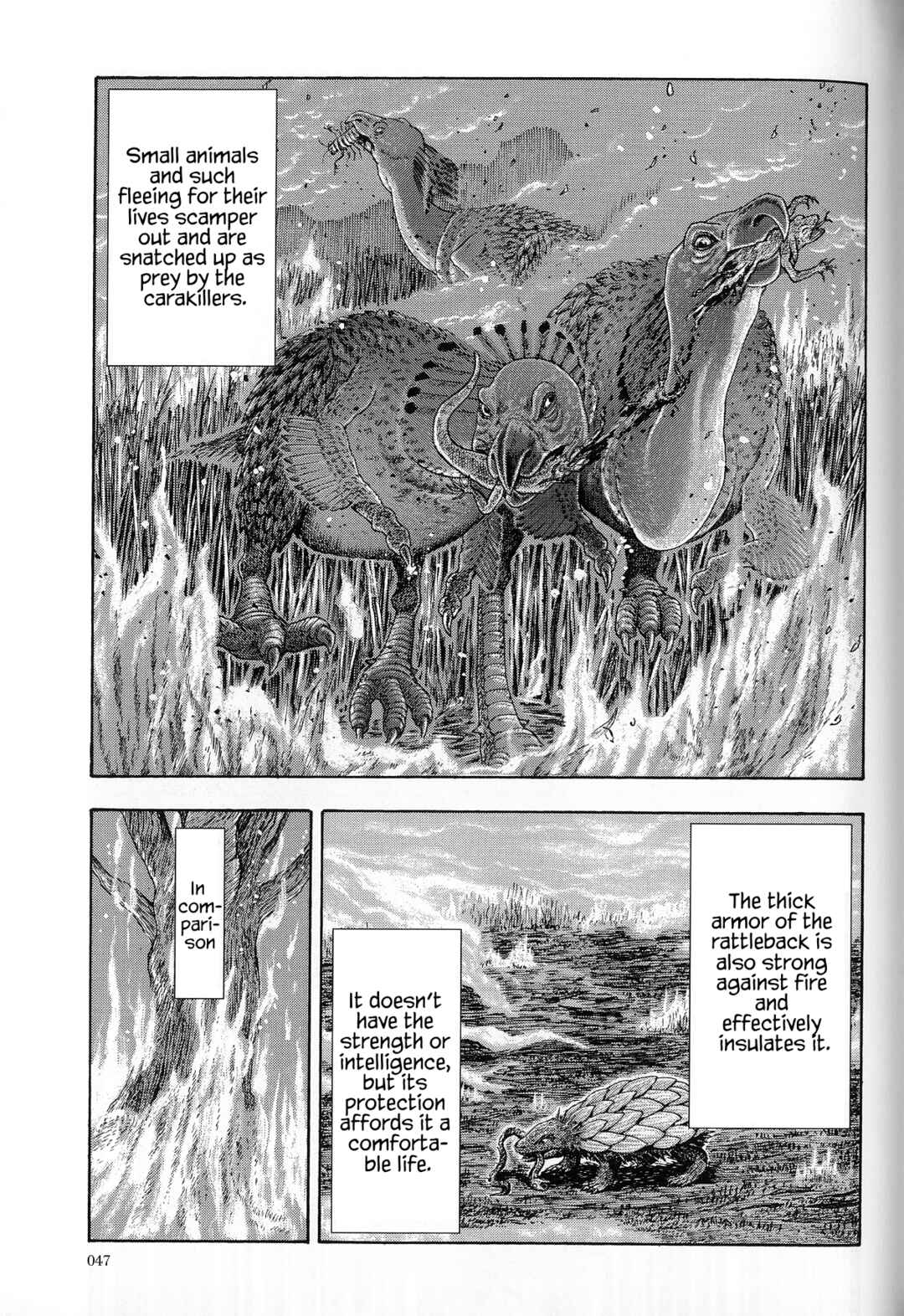 Page 12 Chapter 2 The Future is Wild