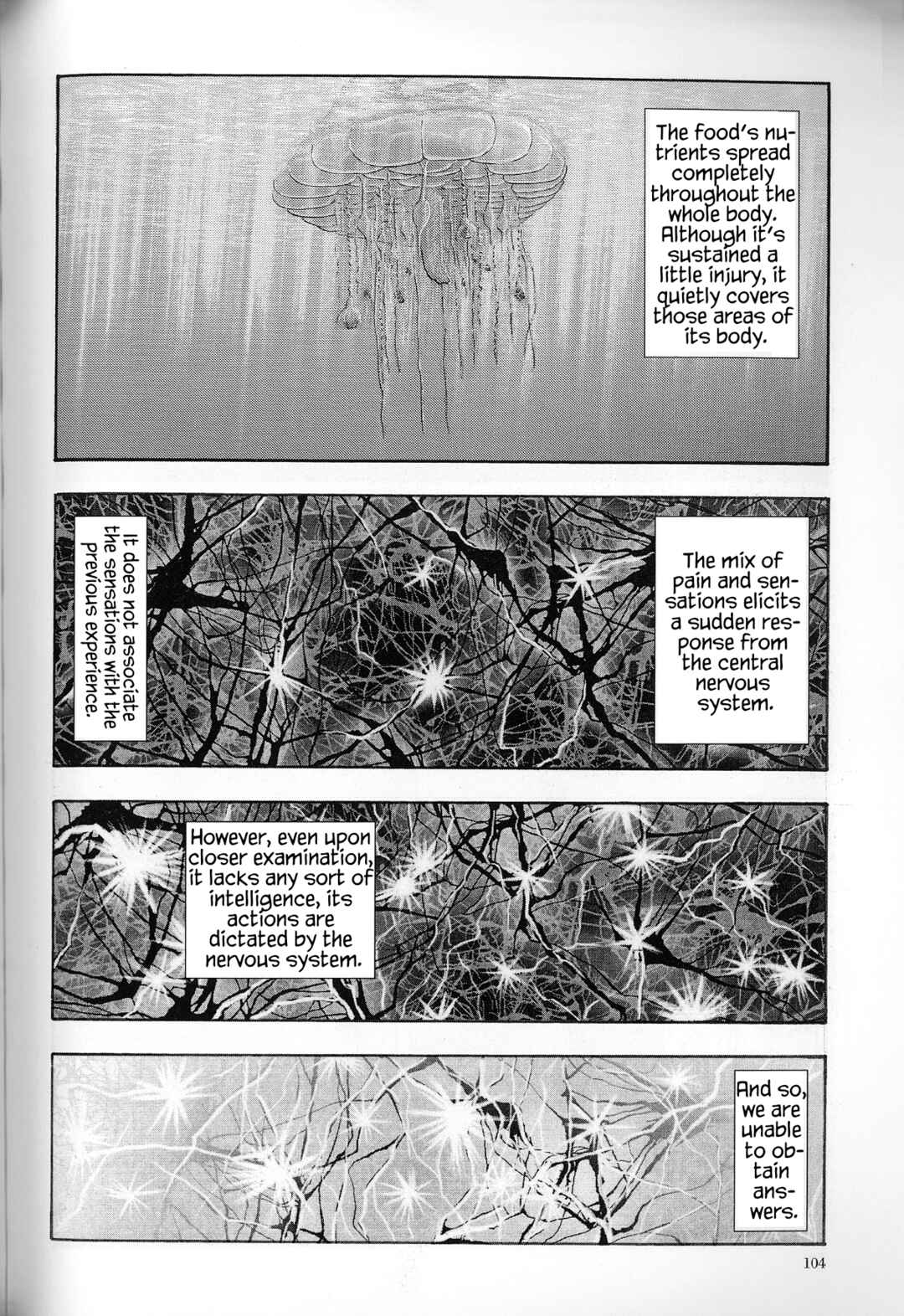 Page 11 Chapter 4 The Future is Wild