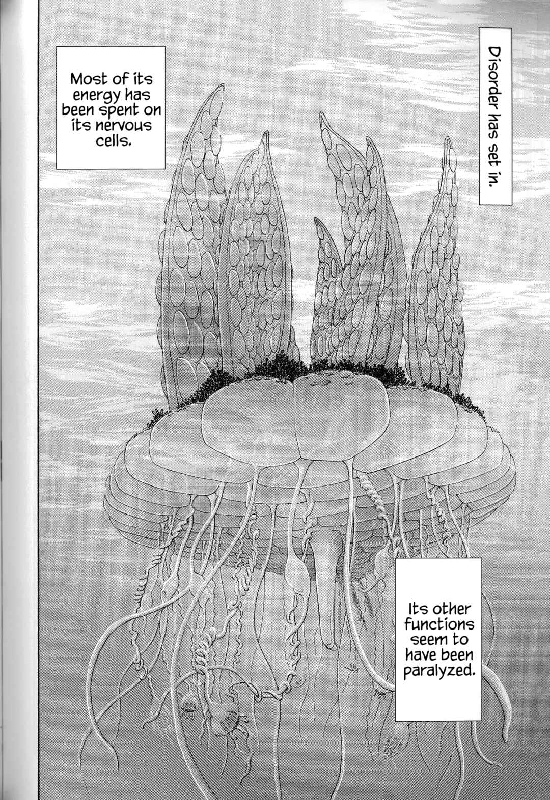 Page 19 Chapter 4 The Future is Wild